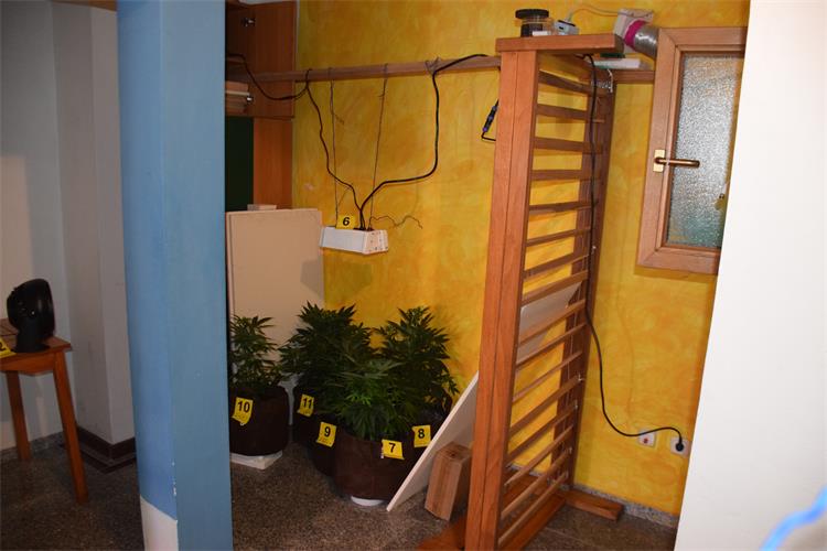 Slika /PU_SK/Galerije/DSC_7013.JPG