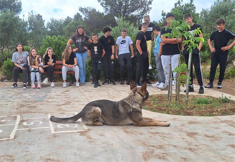 Slika /PU_SK/Galerije/IMG-20240603-WA0009.jpg